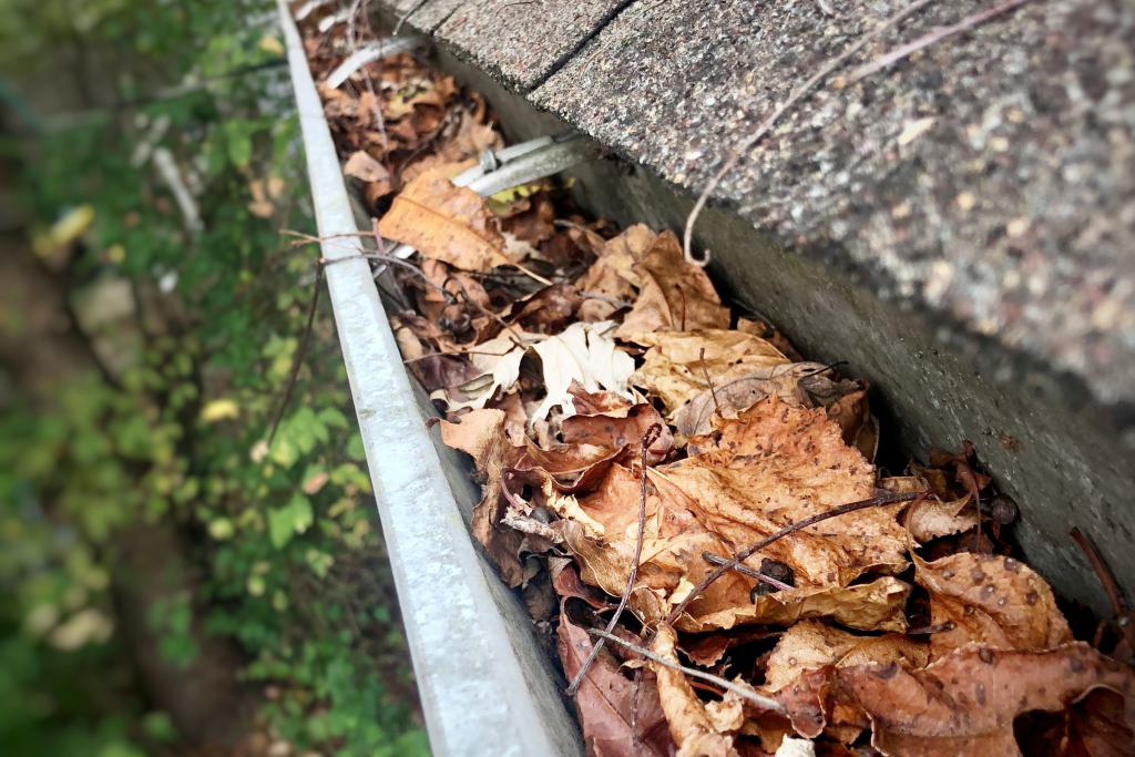 How Often Should You Clean Your Gutters in Sunnyvale and on the Peninsula?
