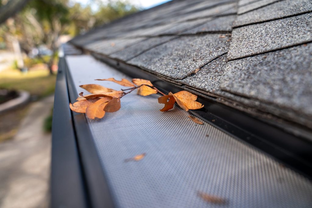 Mesh gutter guard keeping leaves out of the trough