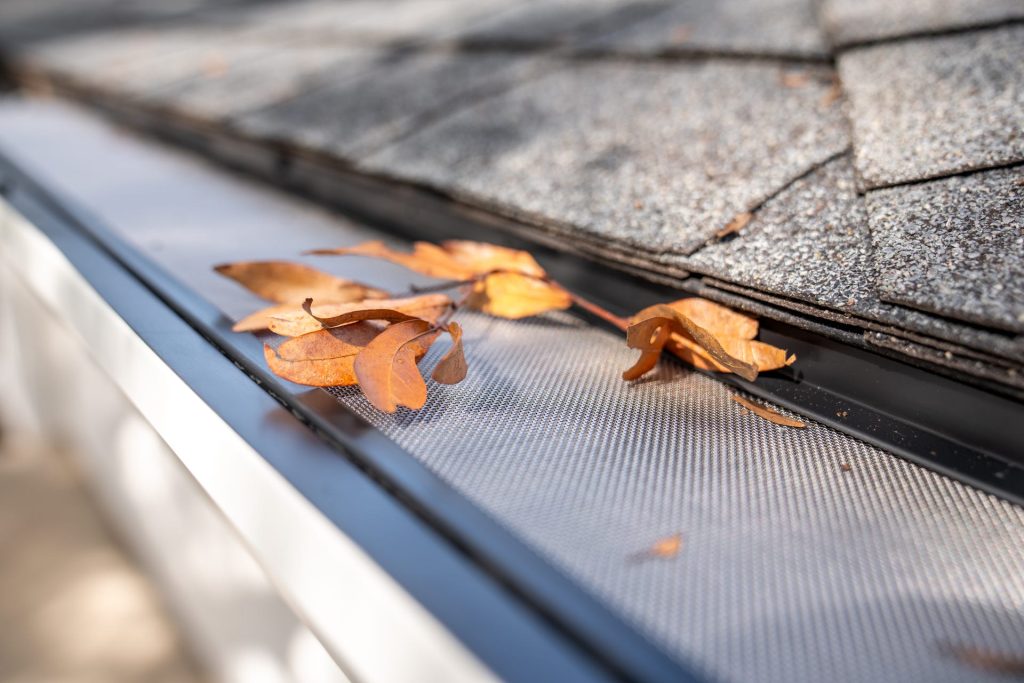 Leaves sitting on top of a mesh gutter guard